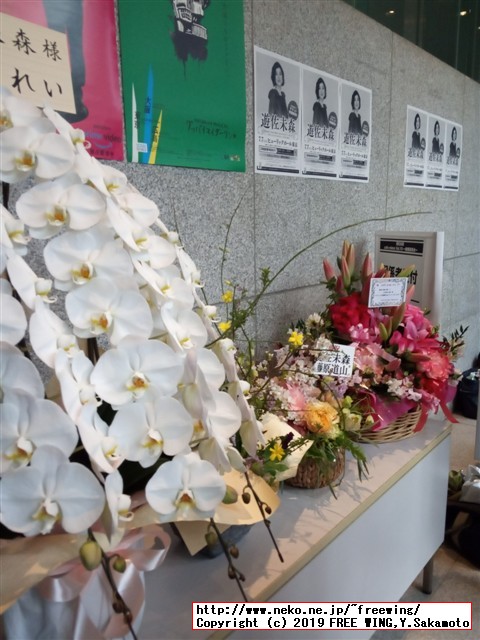 遊佐未森(ユサミモリ) cafe mimo Vol.19 春爛漫茶会 2019/04/14(日)