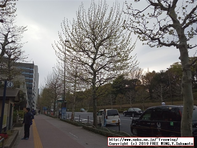 遊佐未森(ユサミモリ) cafe mimo Vol.19 春爛漫茶会 2019/04/14(日)