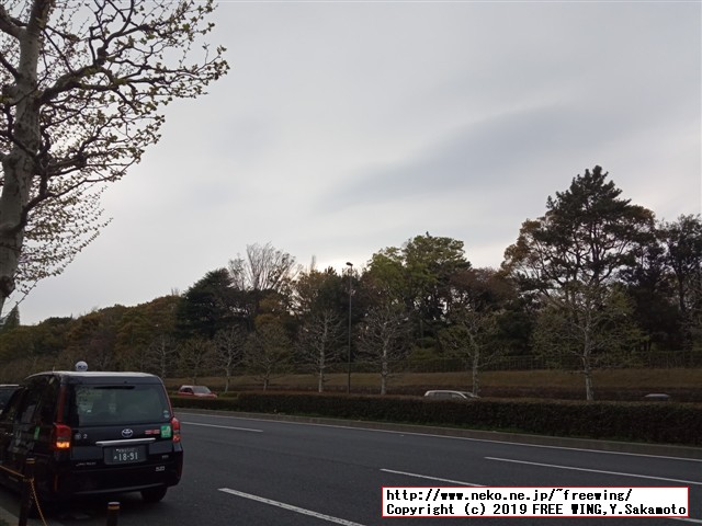 遊佐未森(ユサミモリ) cafe mimo Vol.19 春爛漫茶会 2019/04/14(日)