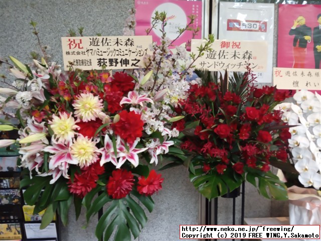 遊佐未森(ユサミモリ) cafe mimo Vol.19 春爛漫茶会 2019/04/14(日)