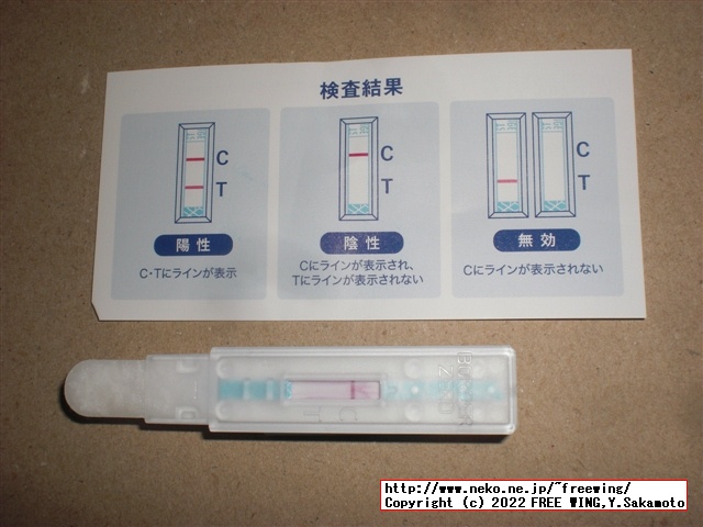 299円と激安のコロナ検査キット、唾液使用の抗原検査キットを買ってみた