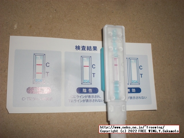 299円と激安のコロナ検査キット、唾液使用の抗原検査キットを買ってみた