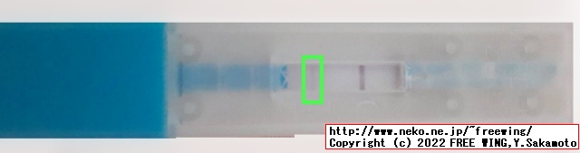 ちなみに一緒に購入した知人は T側に薄くピンクの線が出ました