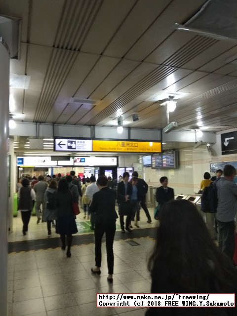 大丸は東京駅の八重洲北口が一番近いです