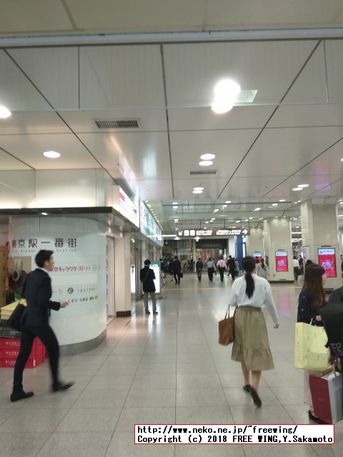 大丸は東京駅の八重洲北口が一番近いです