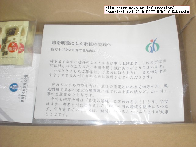 ふるさと納税 四万十うなぎ蒲焼き（超々特大）2本セット 約600g超！