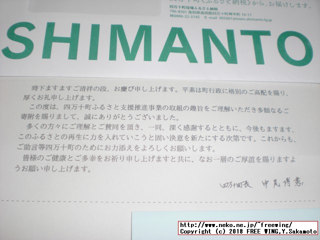 ふるさと納税 四万十うなぎ蒲焼き（超々特大）2本セット 約600g超！