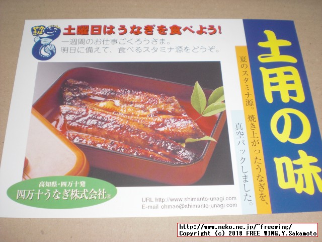 ふるさと納税 四万十うなぎ蒲焼き（超々特大）2本セット 約600g超！