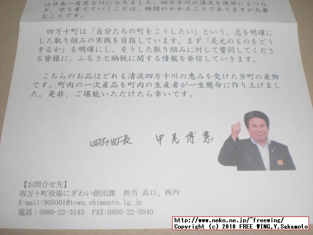 ふるさと納税 四万十うなぎ蒲焼き（超々特大）2本セット 約600g超！