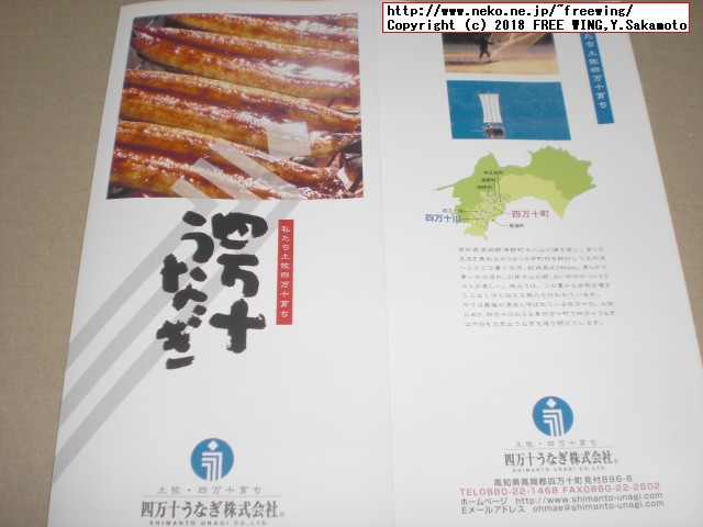 ふるさと納税 四万十うなぎ蒲焼き（超々特大）2本セット 約600g超！