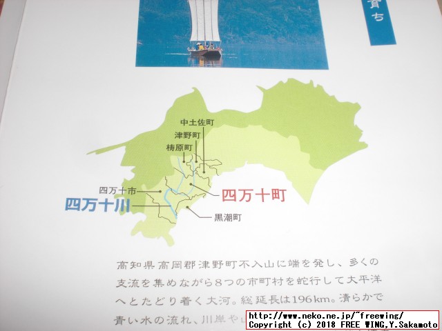ふるさと納税 四万十うなぎ蒲焼き（超々特大）2本セット 約600g超！