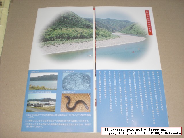 ふるさと納税 四万十うなぎ蒲焼き（超々特大）2本セット 約600g超！