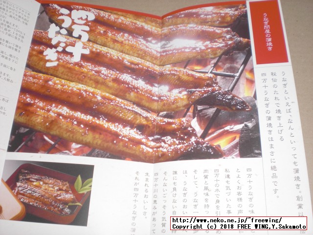 ふるさと納税 四万十うなぎ蒲焼き（超々特大）2本セット 約600g超！