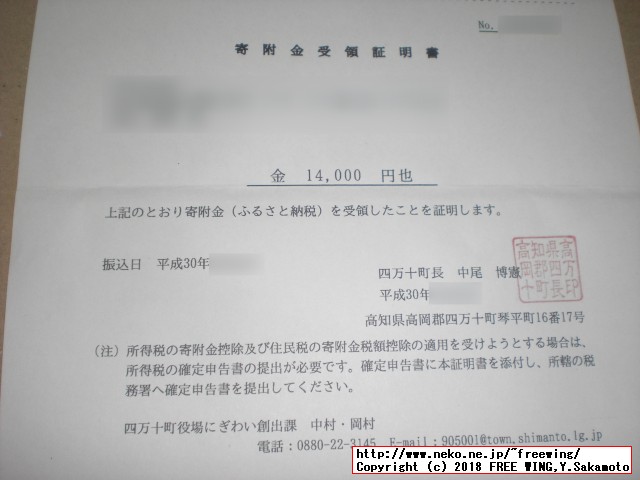 ふるさと納税 四万十うなぎ蒲焼き（超々特大）2本セット 約600g超！