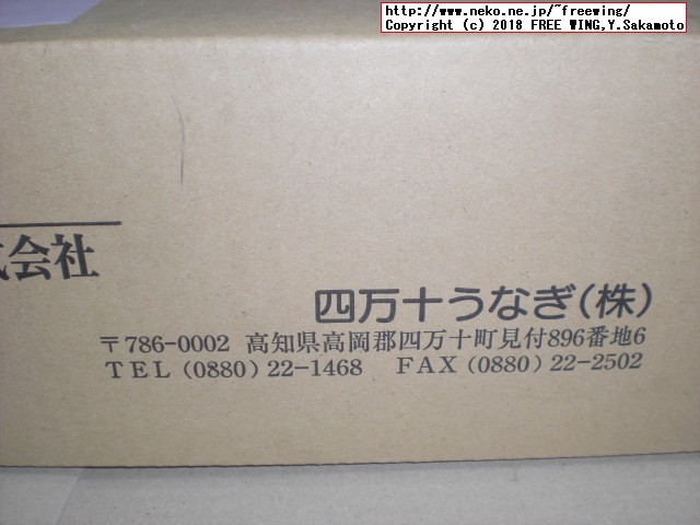 ふるさと納税 四万十うなぎ蒲焼き（超々特大）2本セット 約600g超！