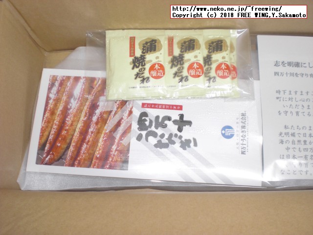 ふるさと納税 四万十うなぎ蒲焼き（超々特大）2本セット 約600g超！