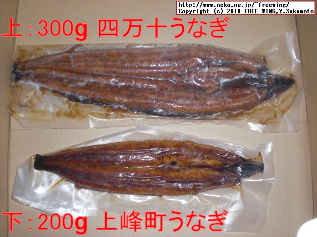 ふるさと納税 四万十うなぎ蒲焼き 300gと 上峰町 200g うなぎとの大きさ比較