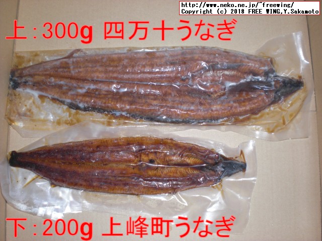 ふるさと納税 四万十うなぎ蒲焼き 300gと 上峰町 200g うなぎとの大きさ比較