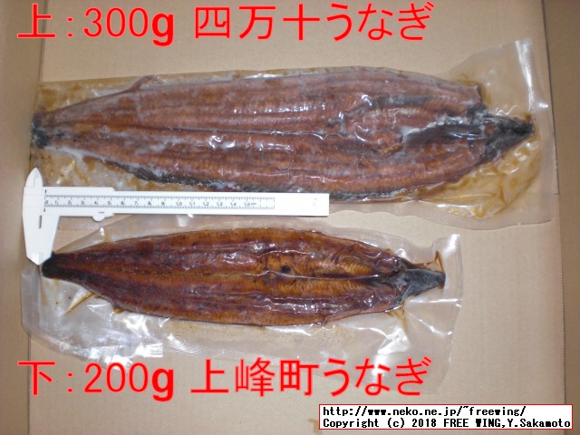 ふるさと納税 四万十うなぎ蒲焼き 300gと 上峰町 200g うなぎとの大きさ比較