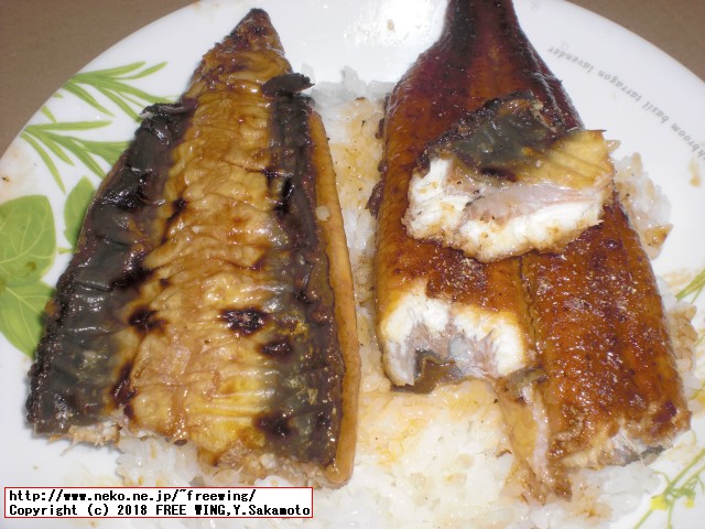 ふるさと納税 佐賀県 上峰町 九州産｢うなぎの特上蒲焼き｣ 特大5尾(計1kg)の写真