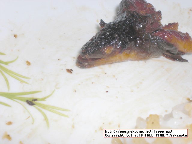 ふるさと納税 佐賀県 上峰町 九州産｢うなぎの特上蒲焼き｣ 特大5尾(計1kg)の写真