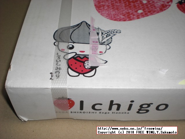 佐賀県 白石町から「ふるさと納税」の返礼品の「さがほのか」いちごパック 6パックが届きました