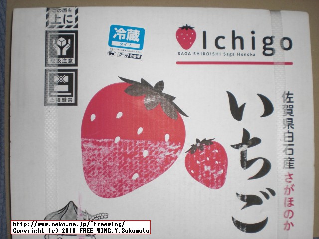 佐賀県 白石町から「ふるさと納税」の返礼品の「さがほのか」いちごパック 6パックが届きました