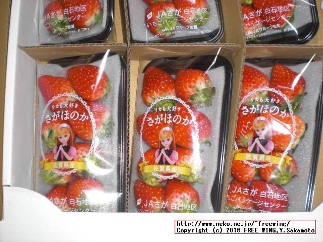 佐賀県 白石町から「ふるさと納税」の返礼品の「さがほのか」いちごパック 6パックが届きました