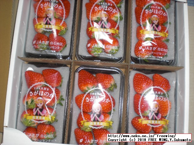 佐賀県 白石町から「ふるさと納税」の返礼品の「さがほのか」いちごパック 6パックが届きました