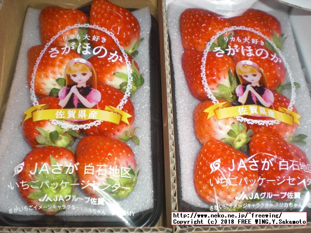 佐賀県 白石町から「ふるさと納税」の返礼品の「さがほのか」いちごパック 6パックが届きました