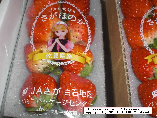 佐賀県 白石町から「ふるさと納税」の返礼品の「さがほのか」いちごパック 6パックが届きました