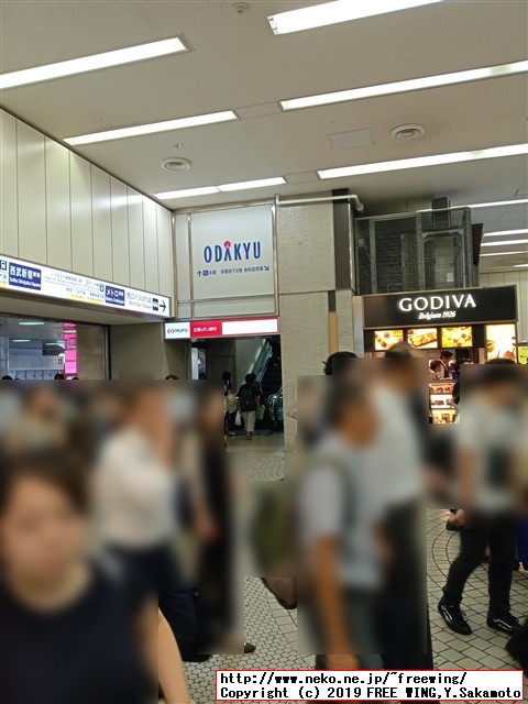 高級チョコレートのゴディバ