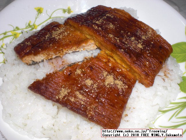 いちまさ「うな次郎」の実食レビュー