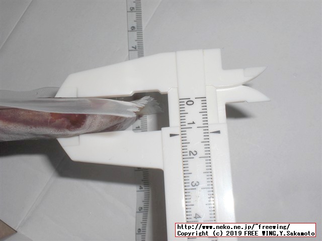 カネテツデリカフーズの「ほぼうなぎ」2019年リニューアル版 日本最速で実食レビュー