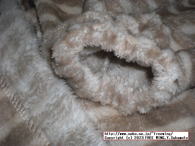 ニトリ Nウォーム 着る毛布 ロング丈 NWロングネック 012BD BE L