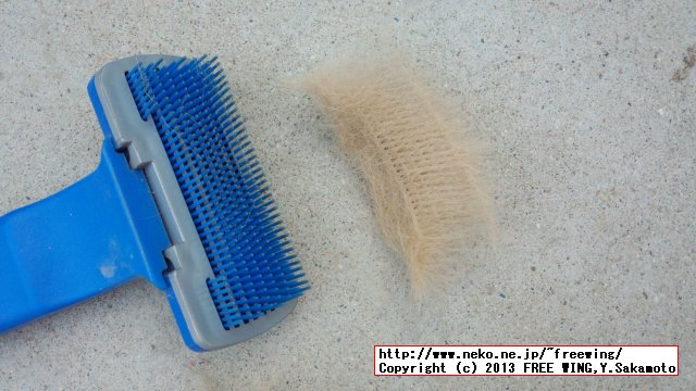 ペット用グルーミング ブラシ Petsy