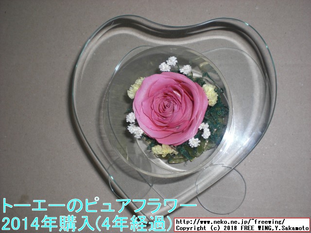 トーエー ピュアフラワー 4年経過