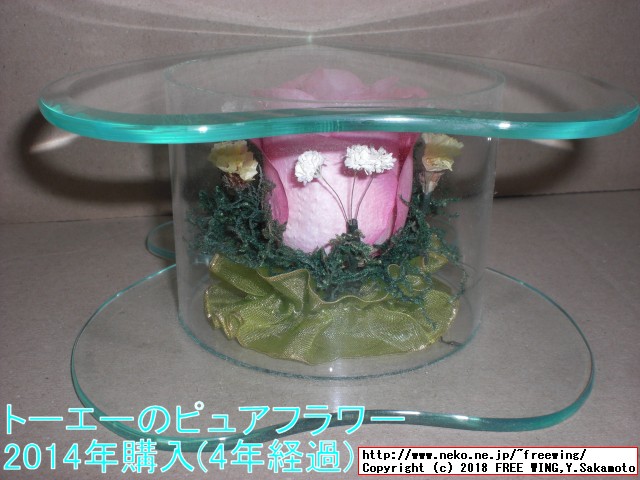 トーエー ピュアフラワー 4年経過