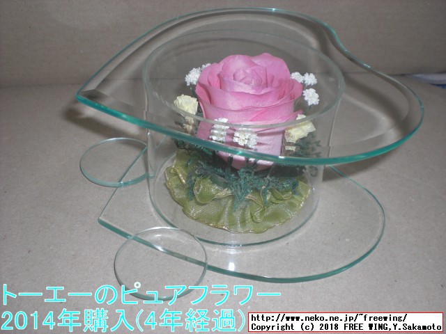 トーエー ピュアフラワー 4年経過
