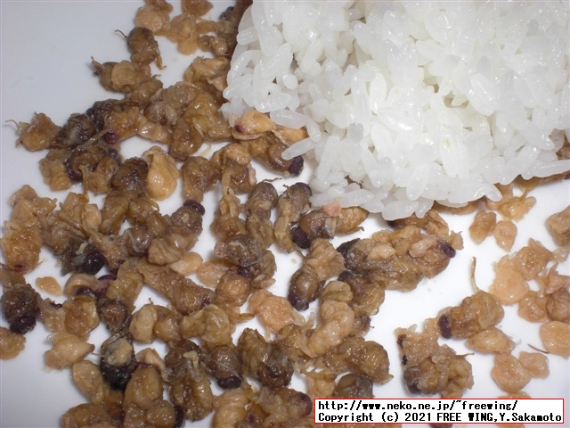 信州蜂蜜本舗 - おらん家の蜂の子 缶詰 200g