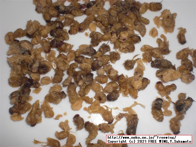 信州蜂蜜本舗 - おらん家の蜂の子 缶詰 200g