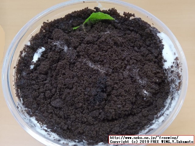 三軒茶屋の鹿角巷 THE ALLEY（ジ　アレイ ルージャオシャン）の盆栽タピオカミルクティーの写真