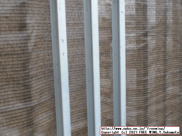 ベランダの目隠し用に柵に取り付ける日よけ シェードを購入してみた！