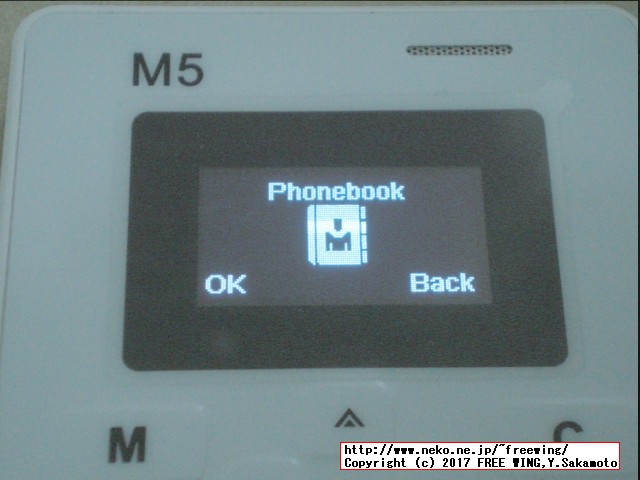 GSM CARD size Mobile Phone AIEK M5