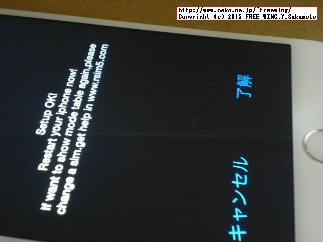 RGKNSE R-SIM10+ iPhone 6s 対応 SIMロック解除ゲタ