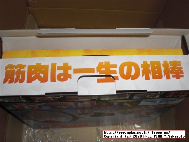 任天堂スイッチのリングフィットアドベンチャーを購入しました！頑張って３０キロ減量したいと思います！！