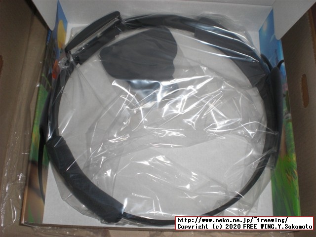 任天堂スイッチのリングフィットアドベンチャーを購入しました！頑張って３０キロ減量したいと思います！！