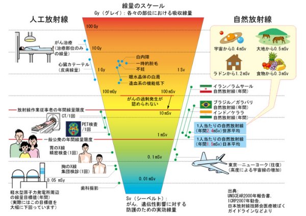 放射線医学総合研究所 報道で伝えられる数値の意味を教えて下さい。