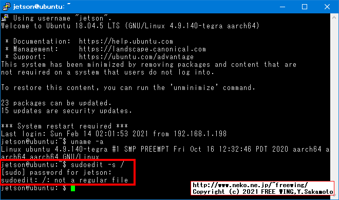 CVE-2021-3156 Sudo Baron Samedit 脆弱性有り
