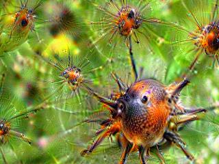 NVIDIA Jetson Nanoで Google DeepDream NVCaffeを動かしてキモイ絵を量産する方法